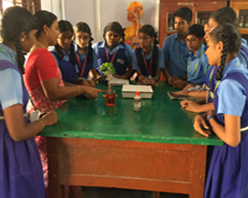 KKV CURRICULUM